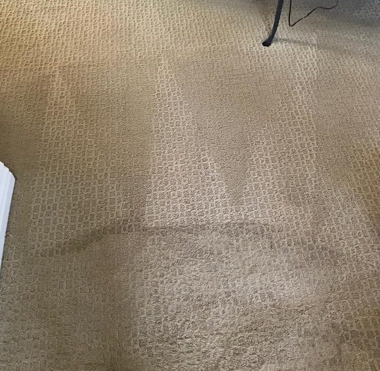 carpet cleaning in aliso viejo california