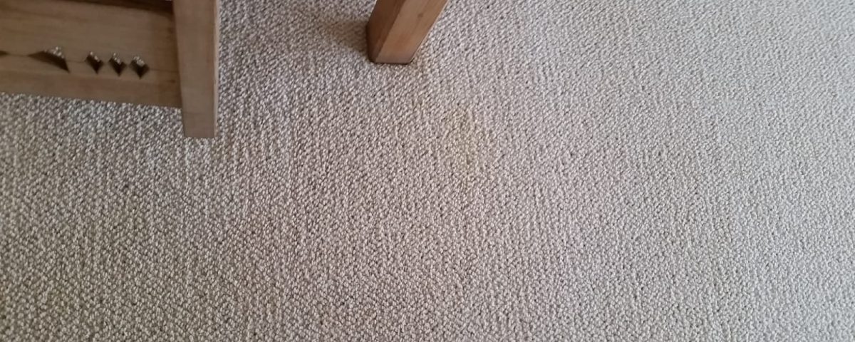 professional carpet cleaning in aliso viejo