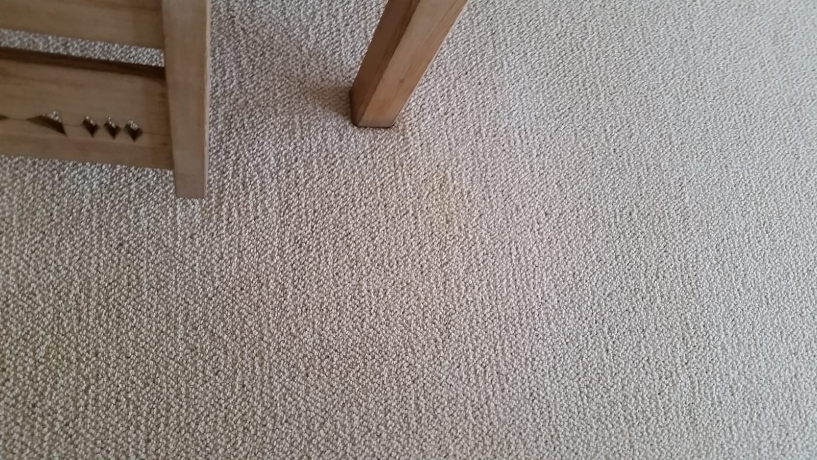 professional carpet cleaning in aliso viejo